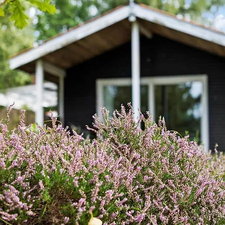 Feriehus 8829-glesborg-lyngvej-4 Glesborg